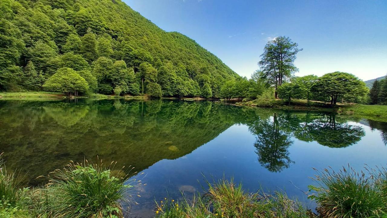 Bed and Breakfast Le Jardin De Moulis, Saint Girons, Ariege, Pyrenees, Exterior foto